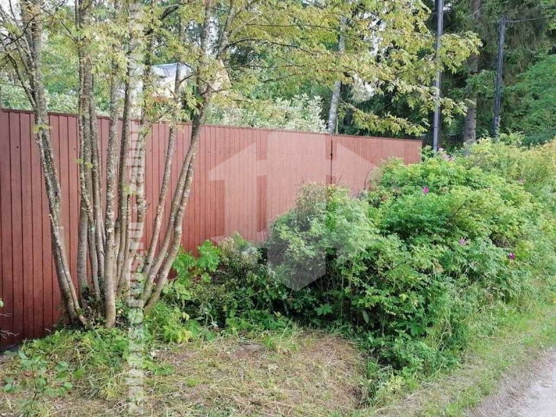 Забор из профнастила под дерево 41 метр